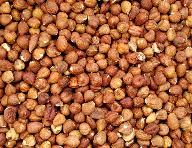 Noisettes biologiques