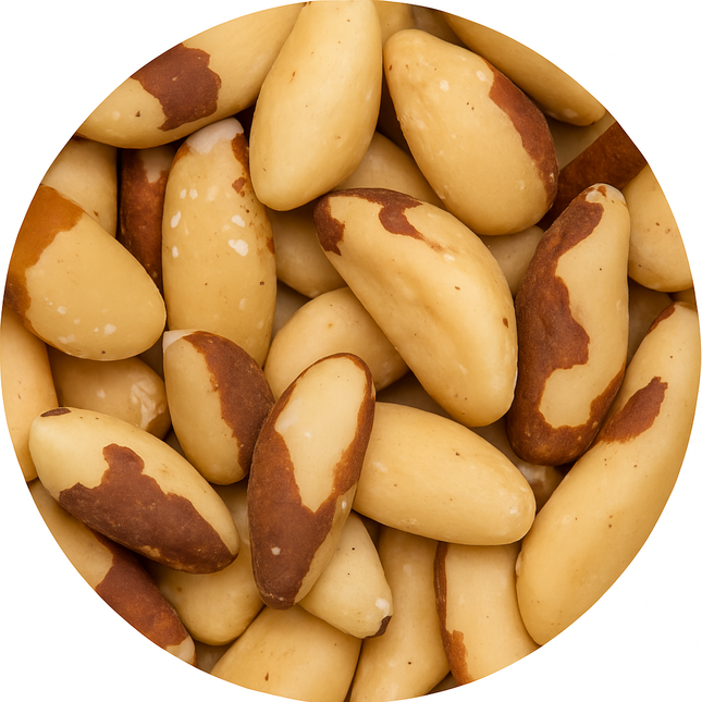 Noix du Brésil biologiques