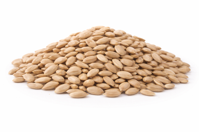 Graines de tournesol